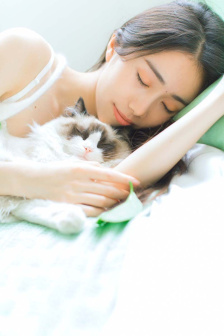 刀剑笑2011